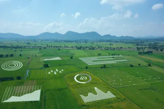 Campo verde com gráficos sobrepostos